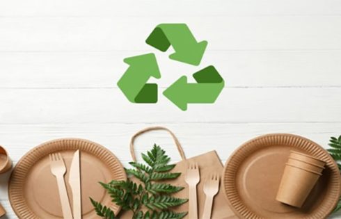 The Materials and Where to Buy Sustainable Food Packaging Supplies